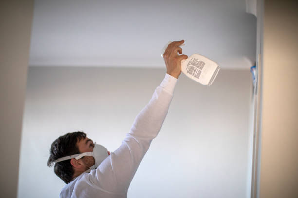 Best Mold Remediation  in Fellsmere, FL