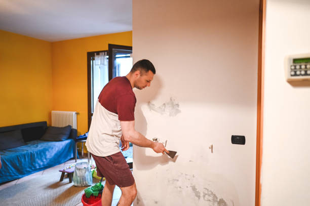 Best Fast Mold Removal  in Fellsmere, FL